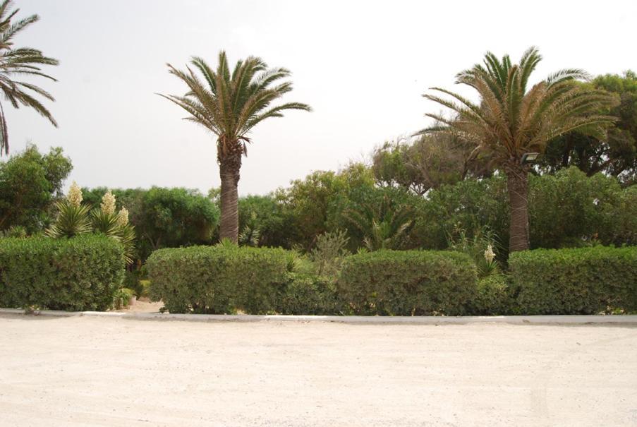 Hotel El Andalous Soliman Εξωτερικό φωτογραφία